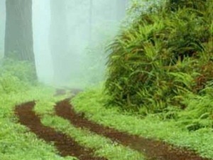 Form di acquisizione info